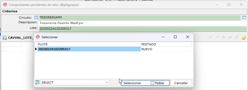Archivo:202502241022SELECCIONLOTETESORERIA.png