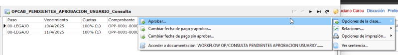 Archivo:20250331 1637 OPCIONES DE UNA PANTALLA.png